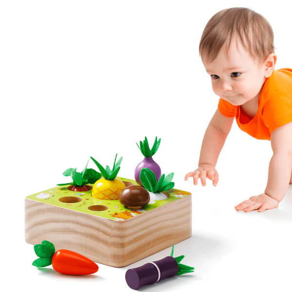 Montessori Vegetable Set